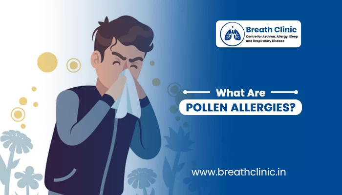 What are pollen allergies