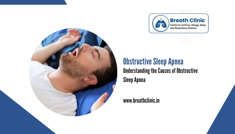 Obstructive Sleep Apnea Causes